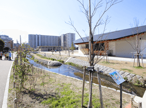 キセラ川西せせらぎ公園（徒歩10分）